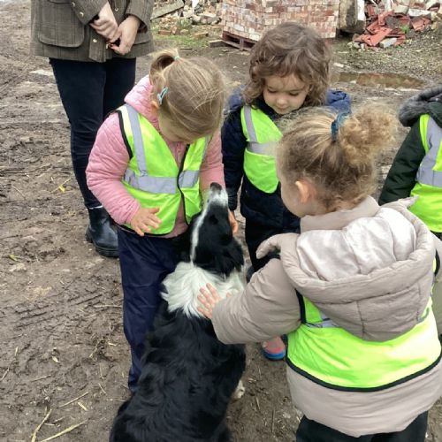 Bramblee Cattle Farm - 20/10/26